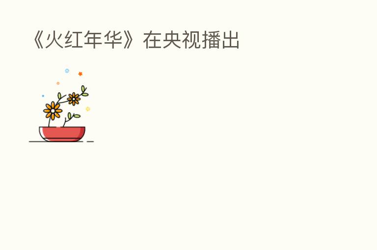 《火红年华》在央视播出