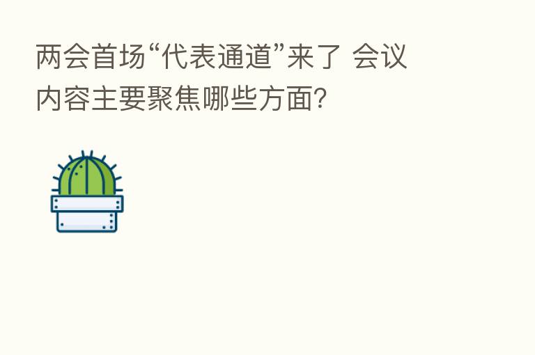 两会首场“代表通道”来了 会议内容主要聚焦哪些方面？