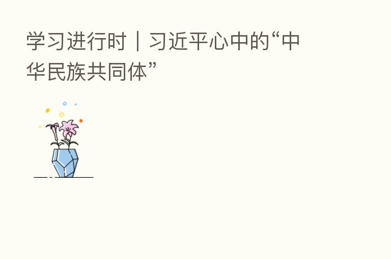 学习进行时| 心中的“中华民族共同体”
