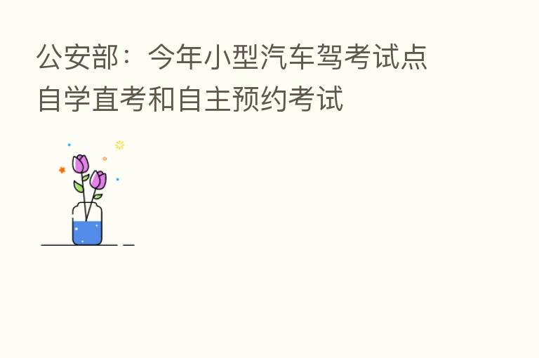 公安部:今年小型汽车驾考试点自学直考和自主预约考试
