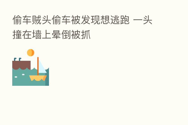 偷车贼头偷车被发现想逃跑 一头撞在墙上晕倒被抓