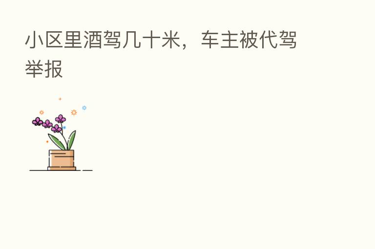 小区里酒驾几十米,车主被代驾举报