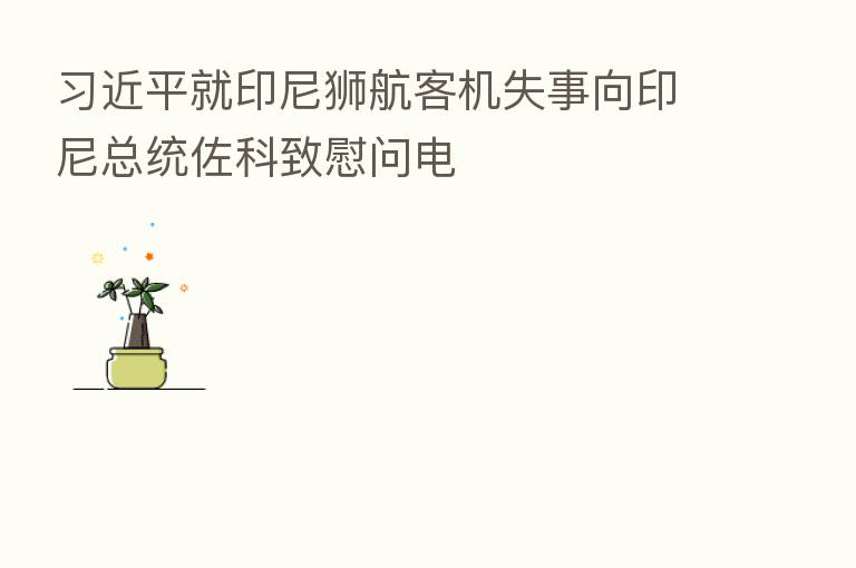          就印尼狮航客机失事向印尼总统佐科致慰问电