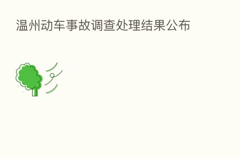 温州动车事故调查处理结果公布