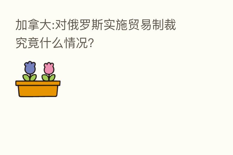 加拿大:对俄罗斯实施贸易制裁 究竟什么情况?