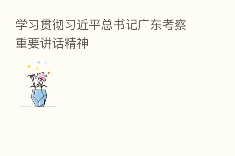 学习贯彻 总书记广东考察重要讲话精神