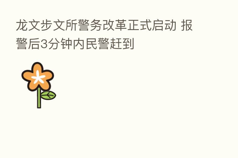 龙文步文所警务改革正式启动 报警后3分钟内民警赶到
