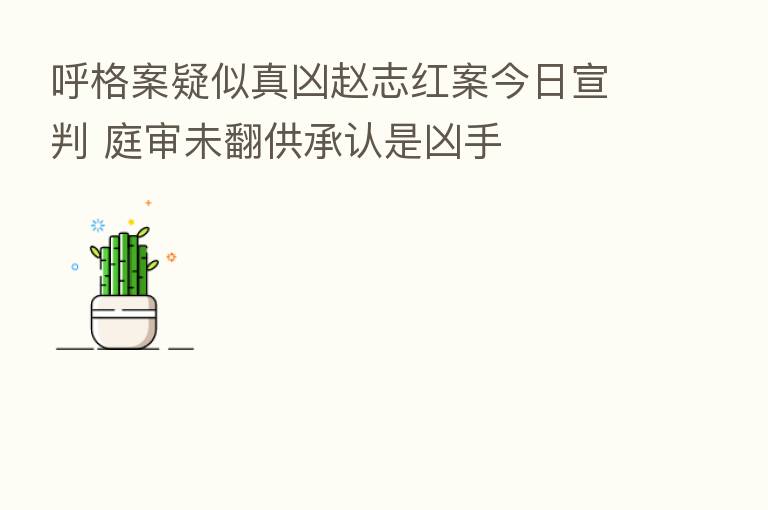呼格案疑似真凶赵志红案今日宣判 庭审未翻供承认是凶手