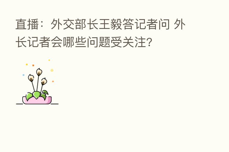 直播:外交部长王毅答记者问 外长记者会哪些问题受关注?