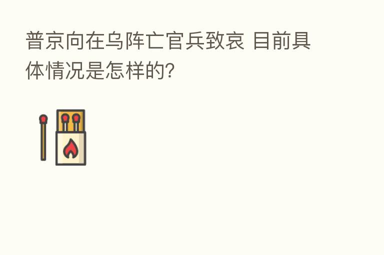 普京向在乌阵亡官兵致哀 目前具体情况是怎样的？