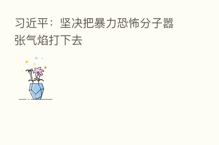 :坚决把暴力恐怖分子嚣张气焰打下去