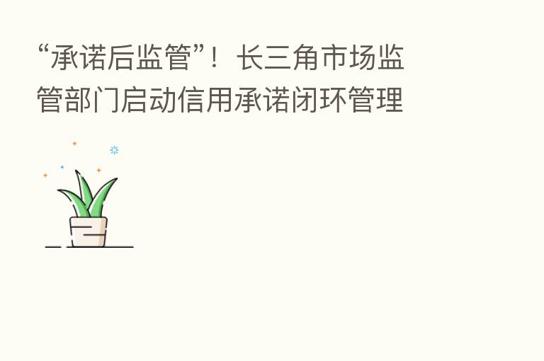 “承诺后监管”!长三角市场监管部门启动信用承诺闭环管理