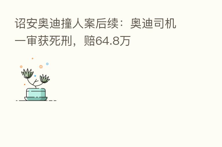 诏安奥迪撞人案后续:奥迪司机一审获死刑,赔64.8万