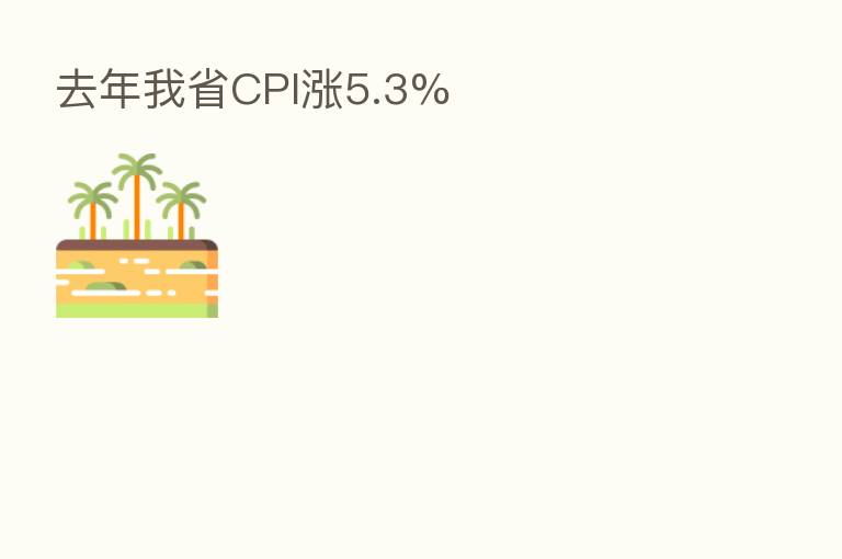 去年我省CPI涨5.3%