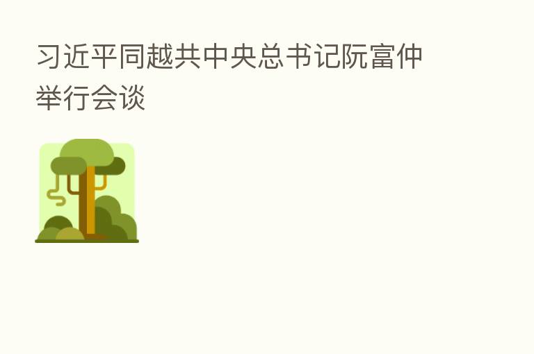同越共中央总书记阮富仲举行会谈