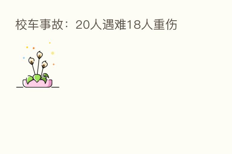 校车事故：20人遇难18人重伤