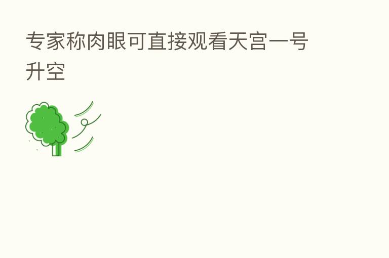 专家称肉眼可直接观看天宫一号升空