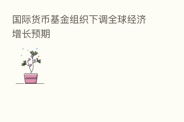 国际货币基金组织下调全球经济增长预期