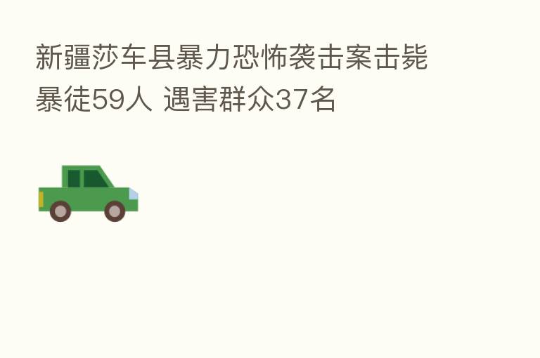 新疆莎车县暴力恐怖袭击案击毙暴徒59人 遇害群众37名