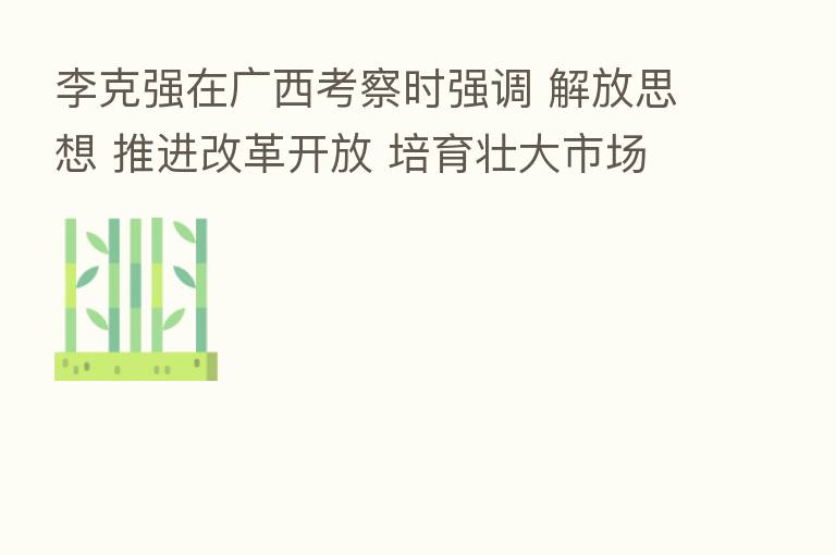 李克强在广西考察时强调 解放思想 推进改革开放 培育壮大市场主体 扎实改善民生