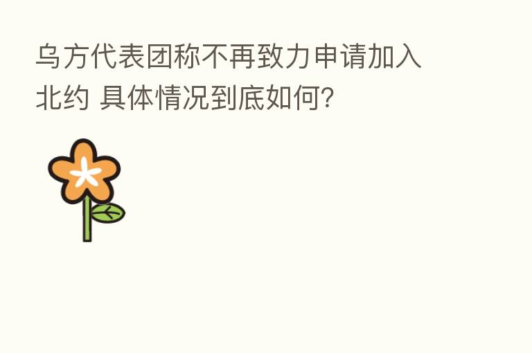 乌方代表团称不再致力申请加入北约 具体情况到底如何?