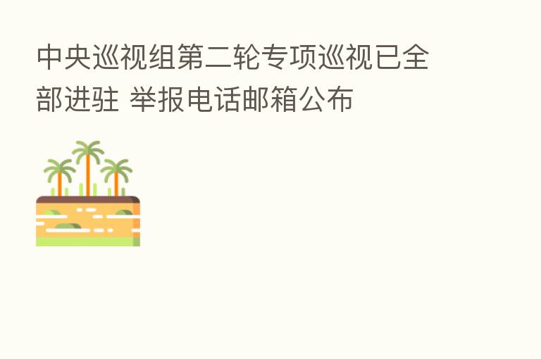 中央巡视组   二轮专项巡视已全部进驻 举报电话邮箱公布