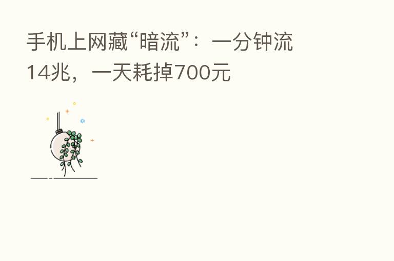 手机上网藏“暗流”:一分钟流14兆,一天耗掉700元