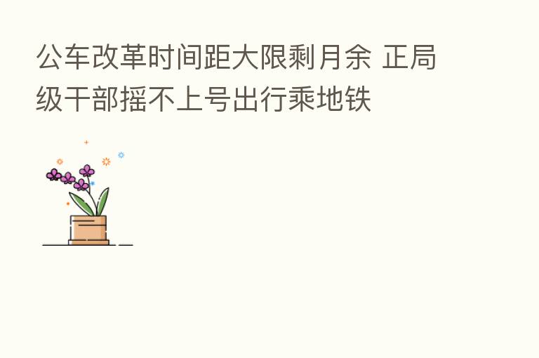 公车改革时间距大限剩月余 正局级干部摇不上号出行乘地铁