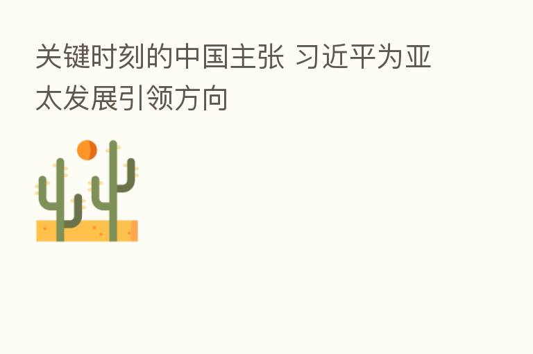 关键时刻的中国主张 为亚太发展引领方向