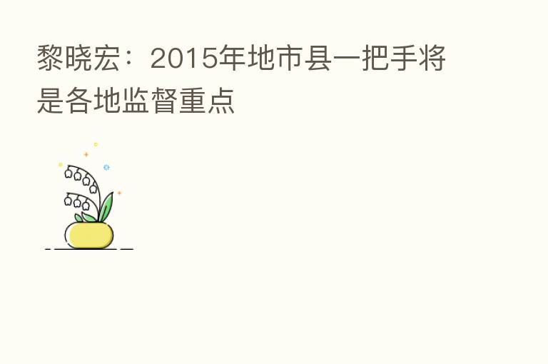 黎晓宏：2015年地市县一把手将是各地监督重点