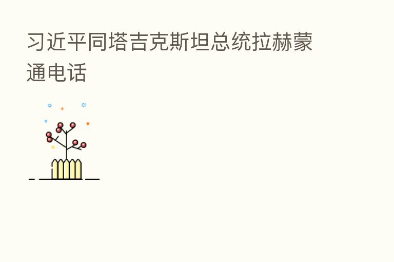 同塔吉克斯坦总统拉赫蒙通电话