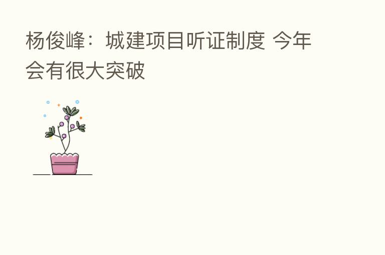杨俊峰:城建项目听证制度 今年会有很大突破