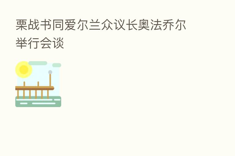 栗战书同爱尔兰众议长奥法乔尔举行会谈