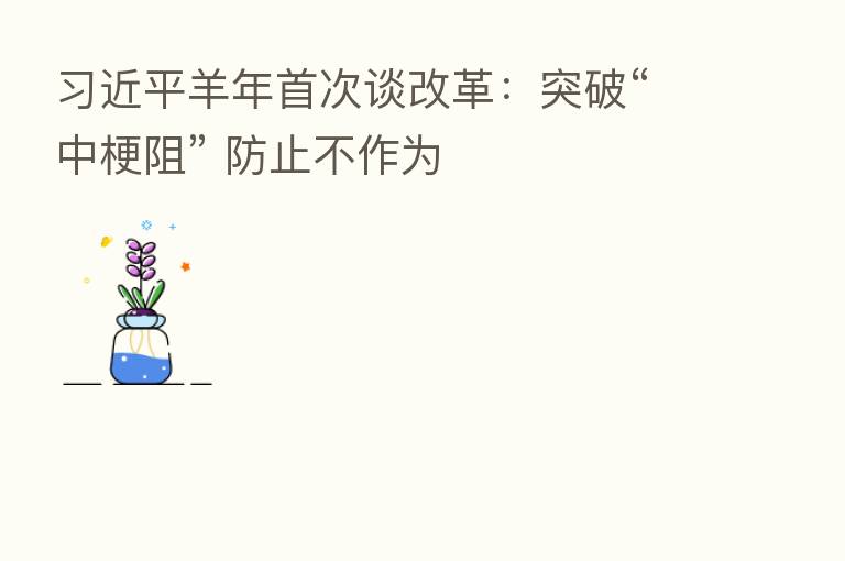 羊年首次谈改革:突破“中梗阻” 防止不作为