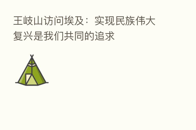 访问埃及:实现民族伟大复兴是我们共同的追求