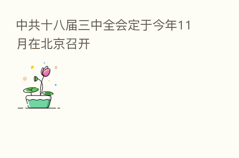 中共十八届三中全会定于今年11月在北京召开