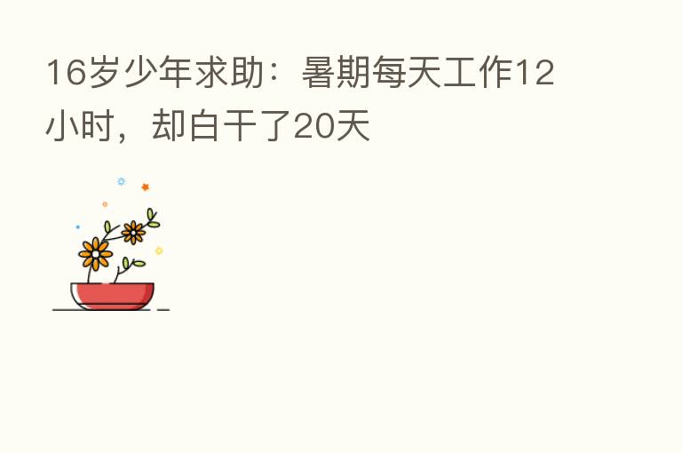16岁少年求助:暑期每天工作12小时,却白干了20天