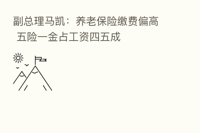 副总理马凯:养老 缴费偏高 五险一金占工资四五成