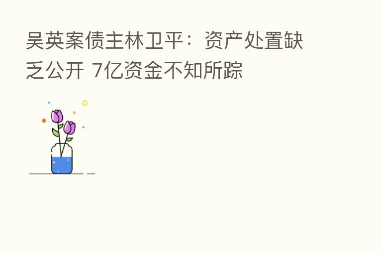 吴英案债主林卫平:资产处置缺乏公开 7亿资金不知所踪
