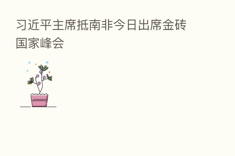主席抵南非今日出席金砖国家峰会