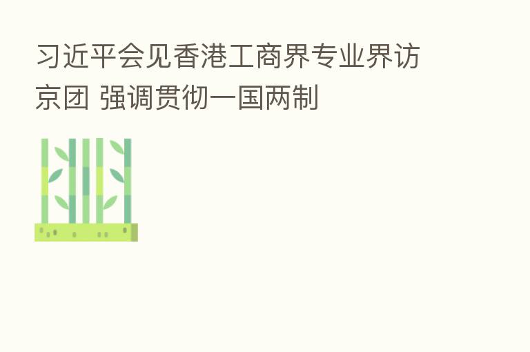 会见香港工商界专业界访京团 强调贯彻一国两制