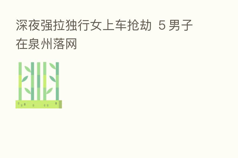 深夜强拉独行女上车抢劫 5男子在泉州落网