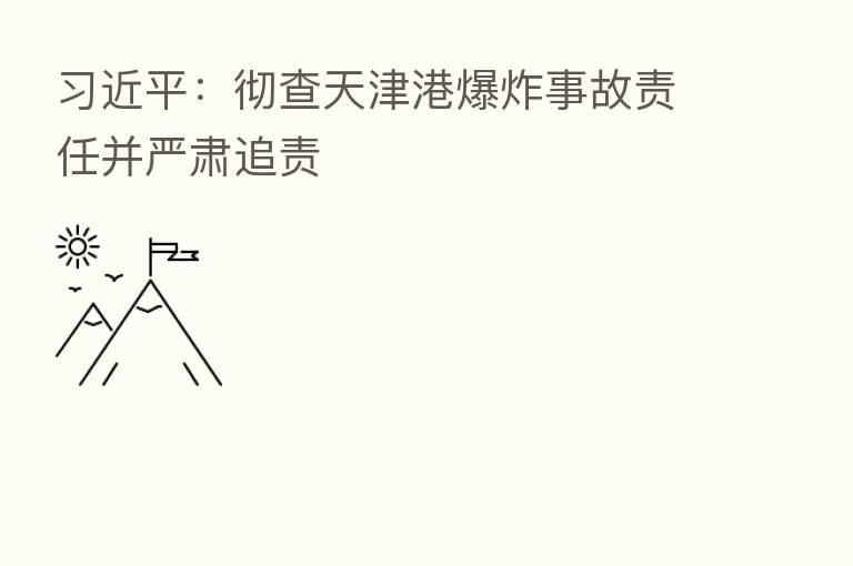 :彻查天津港 事故责任并严肃追责