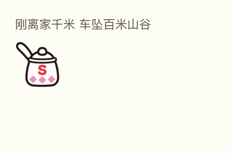 刚离家千米 车坠百米山谷