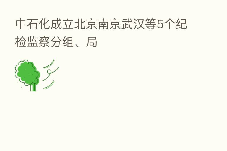 中石化成立北京南京武汉等5个纪检监察分组、局