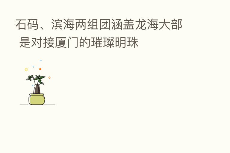 石码、滨海两组团涵盖龙海大部 是对接厦门的璀璨明珠