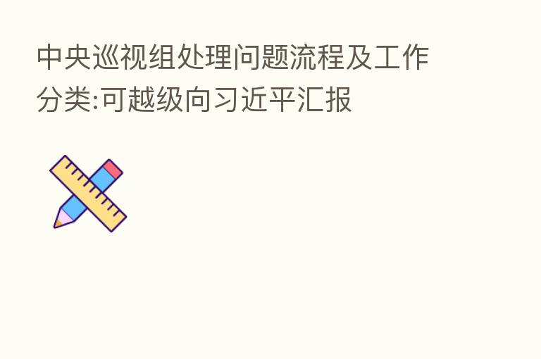 中央巡视组处理问题流程及工作分类:可越级向 汇报