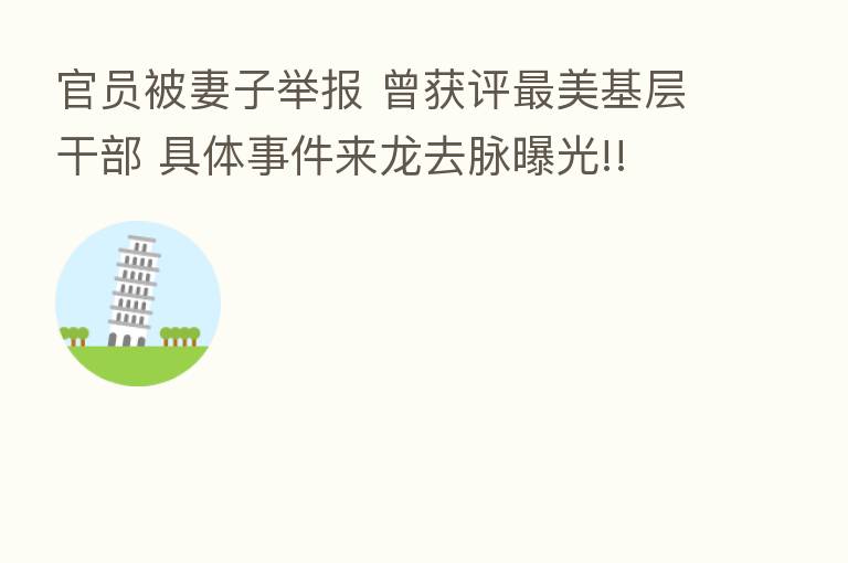 官员被妻子举报 曾获评 美基层干部 具体事件来龙去脉曝光!!