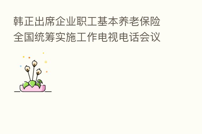 韩正出席企业职工基本养老      全国统筹实施工作电视电话会议