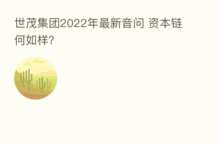 世茂集团2022年新 音问 资本链何如样?